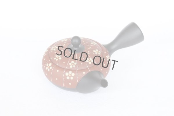 Photo3: Tokoname Japanese tea pot kyusu YT Shohou shu-red white plum 260ml