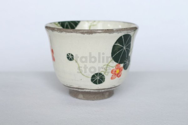 Photo9: Shigaraki pottery Japanese tea mug coffee cup flower painted 300ml