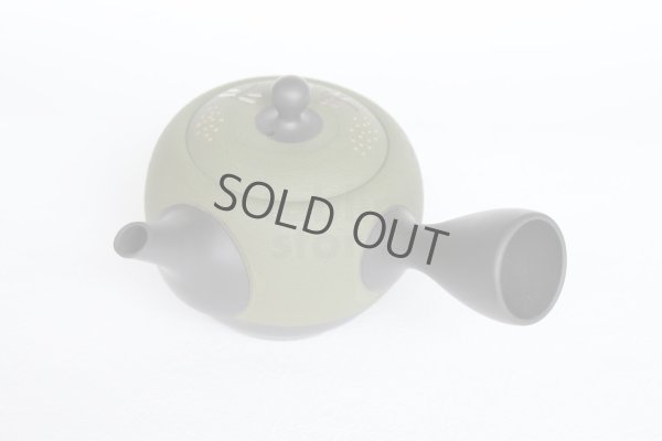 Photo9: Tokoname Japanese tea pot kyusu YT Shohou needle green 320ml