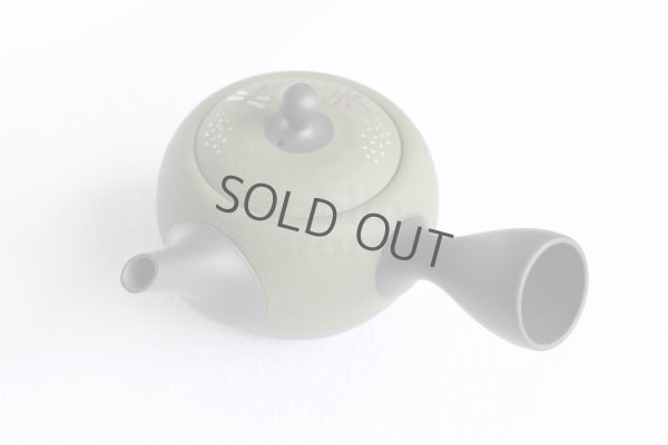 Photo6: Tokoname Japanese tea pot kyusu YT Shohou needle green 320ml