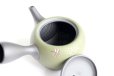 Photo4: Tokoname Japanese tea pot kyusu YT Shohou needle green 320ml