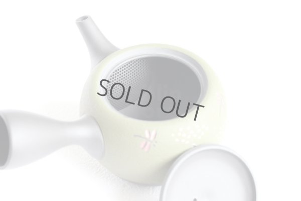 Photo4: Tokoname Japanese tea pot kyusu YT Shohou needle green 320ml