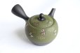 Photo1: Tokoname Japanese tea pot kyusu YT Shohou needle green 320ml (1)