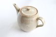 Photo10: Shigaraki pottery Japanese tea pot white glaze with stainless tea strainer