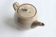 Photo6: Shigaraki pottery Japanese tea pot white glaze with stainless tea strainer