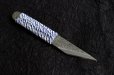 Photo13: Ibuki Kiridashi knife Japanese kogatana Woodworking Tsukamaki white 2 steel