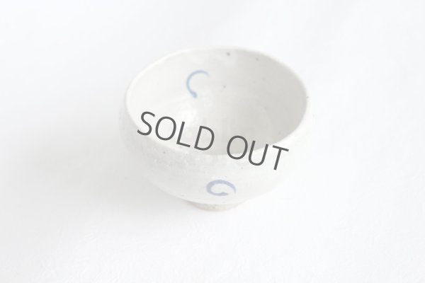 Photo9: Mino ware Japanese pottery matcha chawan tea bowl toga gosumaru noten