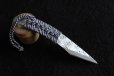 Photo1: Ibuki Kiridashi knife Japanese kogatana Woodworking graft Tsukamaki Blue 2 steel (1)