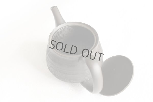 Photo7:  Tokoname Japanese tea pot Hokuryu ceramic tea strainer sendan black 280ml