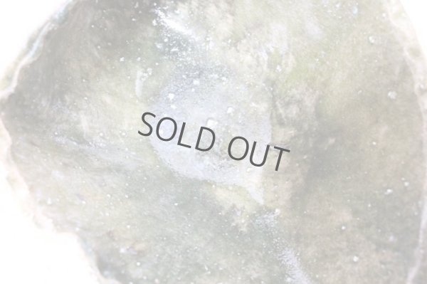 Photo7: Ikebana Suiban Vase Shigaraki Japanese pottery blue-yohen henkei kaki W31.5cm