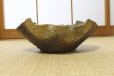 Photo6: Ikebana Suiban Vase Shigaraki Japanese pottery yohen henkei kaki W31cm (6)