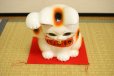 Photo12: Japanese Lucky Cat Tokoname YT Porcelain Maneki Neko bowing Right hand H25cm