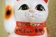 Photo5: Japanese Lucky Cat Tokoname YT Porcelain Maneki Neko bowing Right hand H25cm (5)