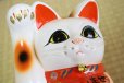 Photo4: Japanese Lucky Cat Tokoname YT Porcelain Maneki Neko bowing Right hand H25cm