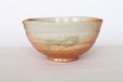 Photo6: Shigaraki pottery Japanese matcha tea ceremony bowl Matsusho hoiro