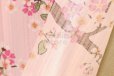 Photo6: Noren Japanese Curtain Doorway NM SD My Neighbor Totoro spring 85 x 150 cm