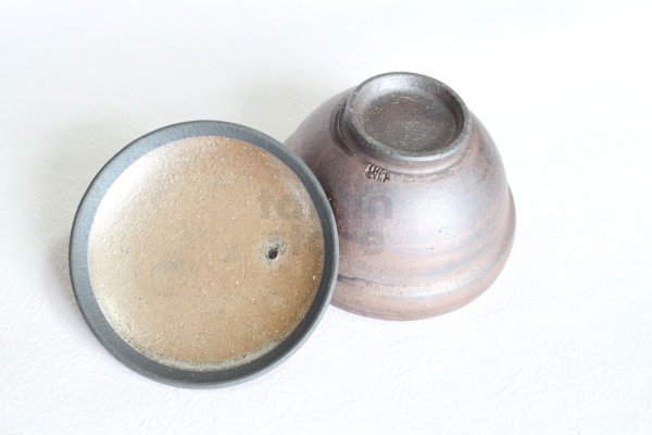 Photo4: Shigaraki pottery Japanese tea pot kyusu Hohin shiboridashi ginryo kai 120ml