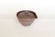 Photo7: Shigaraki pottery Japanese tea pot kyusu Hohin shiboridashi ginryo kai 120ml