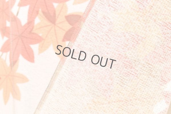 Photo6: Noren Japanese Curtain Doorway NM SD autumn owl rabbit 85 x 150 cm