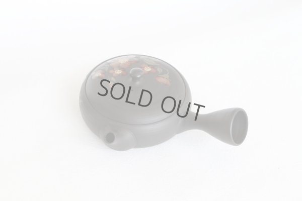 Photo3: Tokoname ware Japanese tea pot Gyokko ceramic tea strainer red flower flat 140ml
