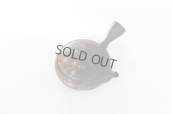 Photo7: Tokoname ware Japanese tea pot Gyokko ceramic tea strainer red flower flat 140ml