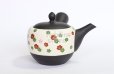 Photo8: Tokoname Japanese tea pot kyusu YT Shohou autumn leaves white 420ml