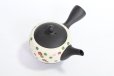 Photo7: Tokoname Japanese tea pot kyusu YT Shohou autumn leaves white 420ml