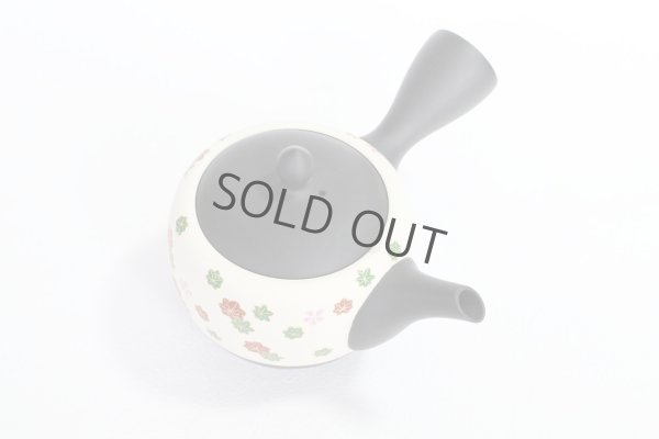 Photo7: Tokoname Japanese tea pot kyusu YT Shohou autumn leaves white 420ml