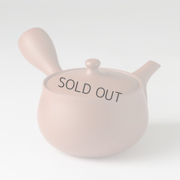 Photo12: Tokoname tea pot kyusu Jinsui Kiwami shudei red hana 370ml