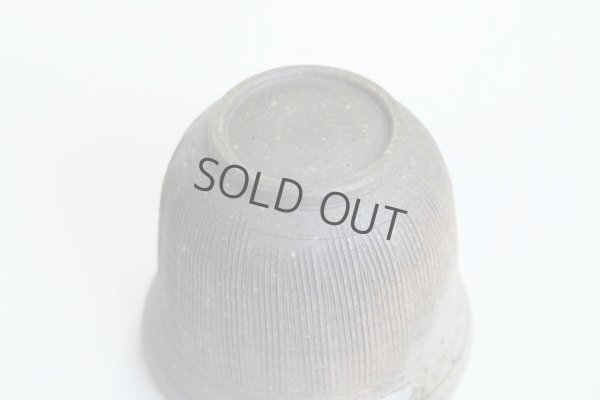 Photo4: Tokoname ware Japanese tea pot Kofu yakishime cover ceramic tea strainer 250ml