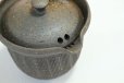 Photo6: Tokoname ware Japanese tea pot Kofu yakishime cover ceramic tea strainer 250ml