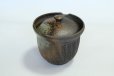 Photo10: Tokoname ware Japanese tea pot Kofu yakishime cover ceramic tea strainer 250ml