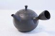 Photo1: Tokoname ware Japanese tea pot kyusu ceramic strainer YT Hokuryu birishu 360ml (1)