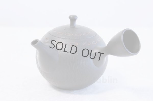 Photo1: Tokoname ware Japanese tea pot kyusu ceramic strainer YT Hokuryu birishu 360ml