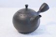 Photo2: Tokoname ware Japanese tea pot kyusu ceramic strainer YT Hokuryu birishu 360ml (2)