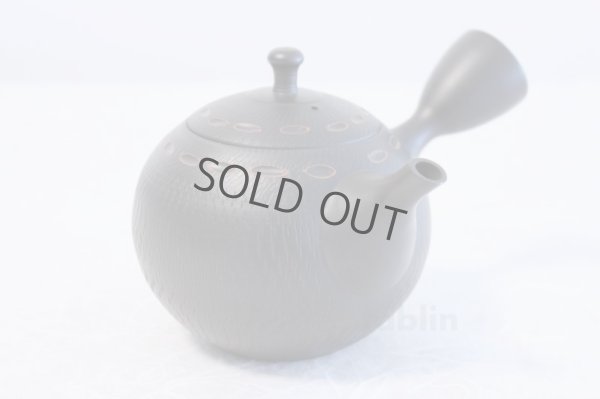 Photo2: Tokoname ware Japanese tea pot kyusu ceramic strainer YT Hokuryu birishu 360ml