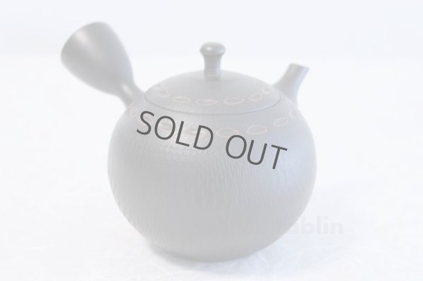 Photo3: Tokoname ware Japanese tea pot kyusu ceramic strainer YT Hokuryu birishu 360ml