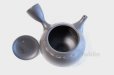 Photo5: Tokoname ware Japanese tea pot kyusu ceramic strainer YT Hokuryu birishu 360ml (5)