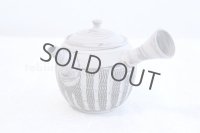Tokoname Japanese tea pot kyusu ceramic strainer YT Kenji hanshita gray 360ml