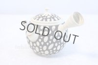 Tokoname ware Japanese tea pot kyusu ceramic strainer YT Kenji mizutama 380ml