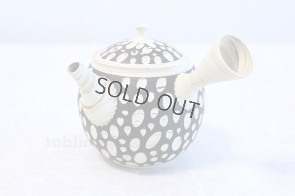 Photo1: Tokoname ware Japanese tea pot kyusu ceramic strainer YT Kenji mizutama 380ml