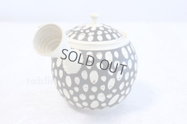 Photo2: Tokoname ware Japanese tea pot kyusu ceramic strainer YT Kenji mizutama 380ml