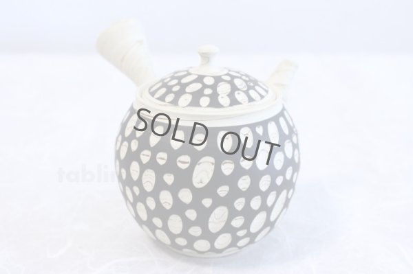 Photo3: Tokoname ware Japanese tea pot kyusu ceramic strainer YT Kenji mizutama 380ml