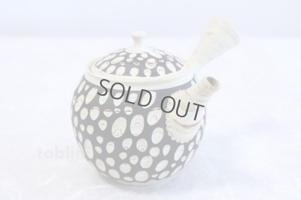 Photo4: Tokoname ware Japanese tea pot kyusu ceramic strainer YT Kenji mizutama 380ml