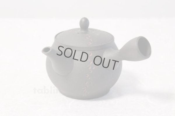 Photo2: Tokoname ware Japanese tea pot kyusu ceramic strainer YT Sekiryu notauchi 340m