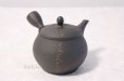 Photo1: Tokoname ware Japanese tea pot kyusu ceramic strainer YT Sekiryu notauchi 340m (1)