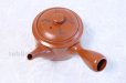 Photo5: Tokoname ware Japanese tea pot kyusu stainless strainer Takeharu kiln 500ml (5)