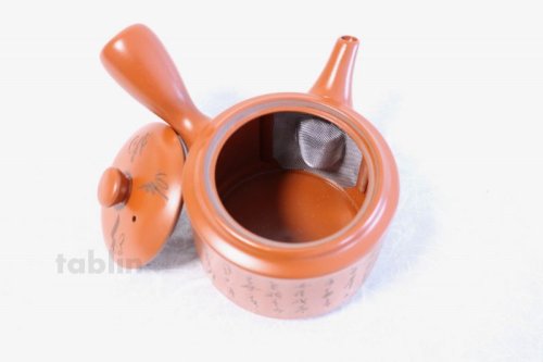 Other Images1: Tokoname ware Japanese tea pot kyusu stainless strainer Takeharu kiln 500ml