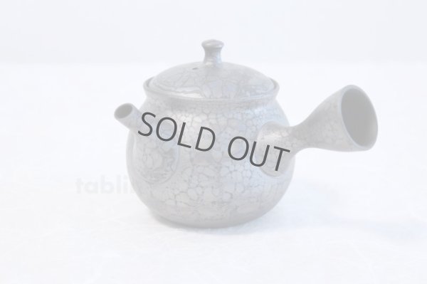 Photo1: Tokoname yaki ware Japanese tea pot Shoryu Tenmokuk ceramic tea strainer 200ml