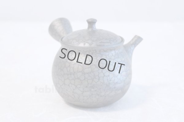 Photo3: Tokoname yaki ware Japanese tea pot Shoryu Tenmokuk ceramic tea strainer 200ml